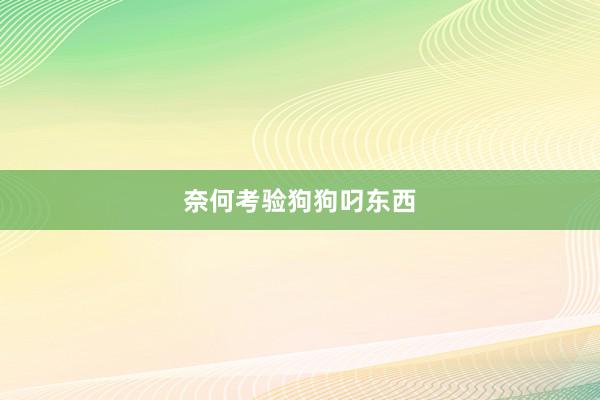 奈何考验狗狗叼东西